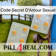 Sex Love Secret Code 25